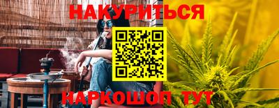 дмт Будённовск